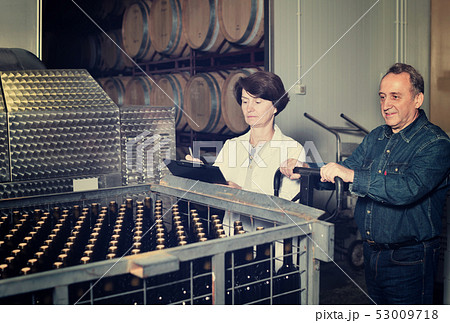 Expert and wine maker inspect containers with bottles 53009718