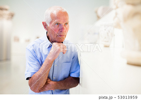 Mature man visiting sculptures exhibition Mature man visiting sculptures exhibition 53013959