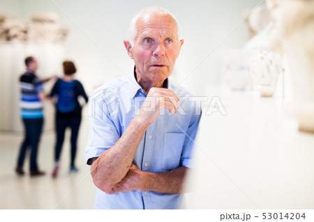 Mature man visiting sculptures exhibition 53014204