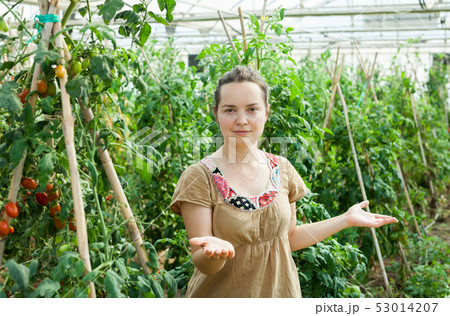 Female farmer in glasshouse 53014207