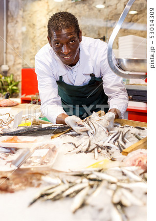 Salesman offering fresh fish Salesman offering fresh fish 53014309