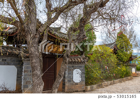 中国 チャイナ 磁器 53015165