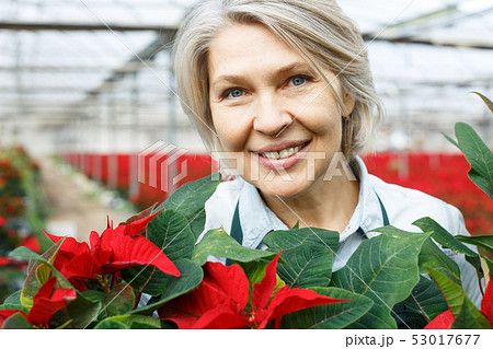 Closeup portrait of female florist with poinsettia 53017677