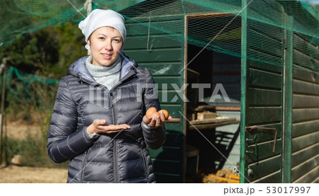 Female near hen house with chicken eggs Female near hen house with chicken eggs 53017997