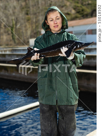 Woman holding sturgeon 53018502