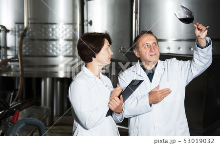 Two experts in winery Two experts in winery 53019032