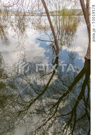 中国 チャイナ 磁器 53019578