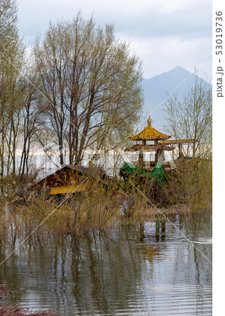 中国 チャイナ 磁器 53019736