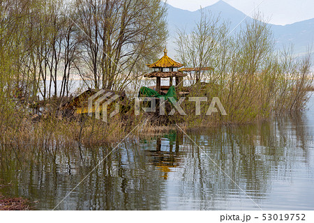 中国 チャイナ 磁器 53019752
