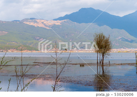 中国 チャイナ 磁器 53020006