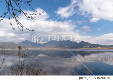 中国 チャイナ 磁器 53020010