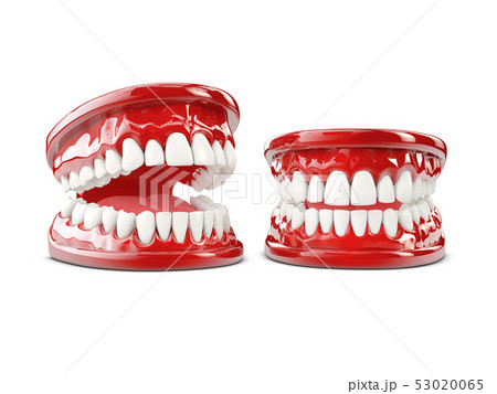 3d Illustration of human teeth, open and close mouth on white background 53020065