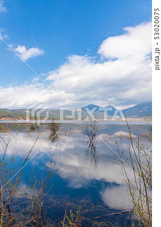 中国 チャイナ 磁器 53020075