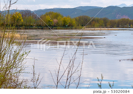 中国 チャイナ 磁器 53020084