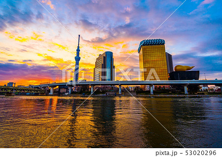 Tokyo skyline on Sumida River with sunrise, Japan 53020296