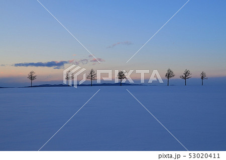 メルヘンの丘（北海道大空町） 53020411