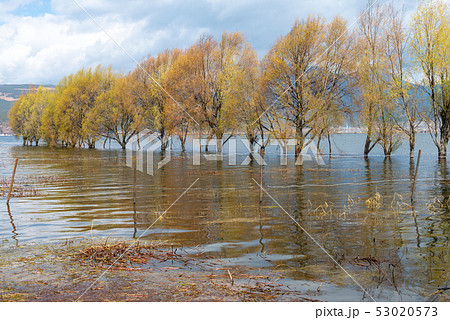 中国 チャイナ 磁器 53020573