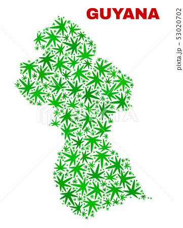 Hemp Leaves Mosaic Guyana Map 53020702