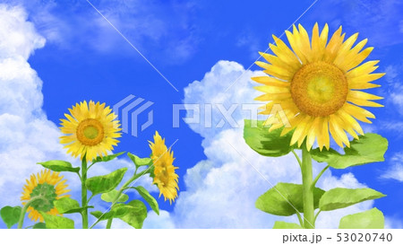 夏空と向日葵 イラスト素材 のイラスト素材