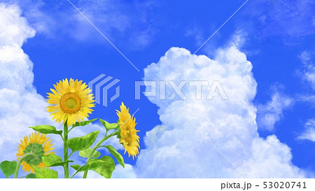 夏空と向日葵 イラスト素材 のイラスト素材