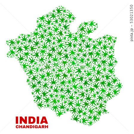 Marijuana Leaves Collage Chandigarh City Map 53021350