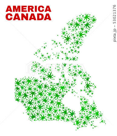 Hemp Leaves Mosaic Canada V2 Map 53021376