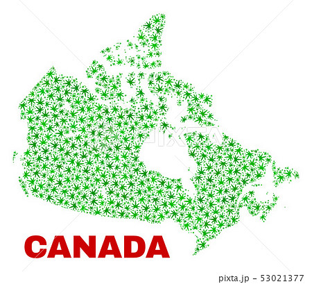 Hemp Leaves Mosaic Canada Map 53021377