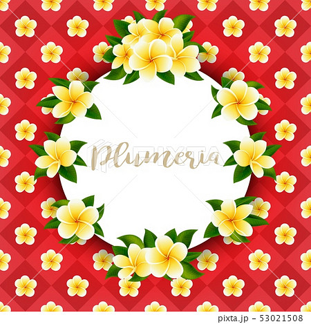 Vector golden frangipani or plumeria flower on bright background postcard Vector golden frangipani or plumeria flower on bright background postcard 53021508