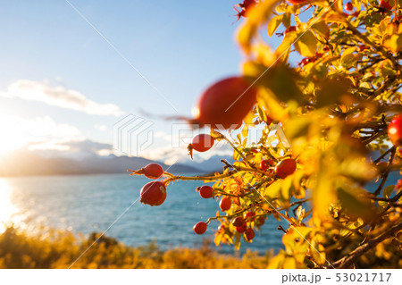 Autumn lake Autumn lake 53021717