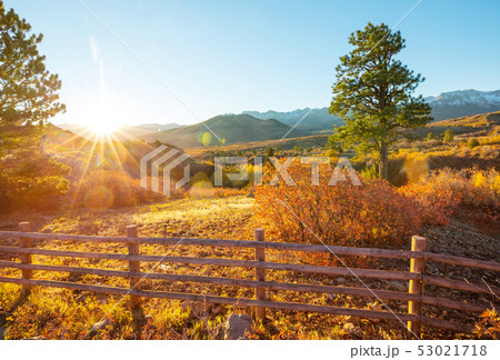 Autumn in Colorado Autumn in Colorado 53021718