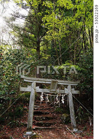 花園神社　奥の院鳥居 53022169
