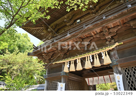 福岡県 風景 香椎宮 福岡県 風景 香椎宮 53022349