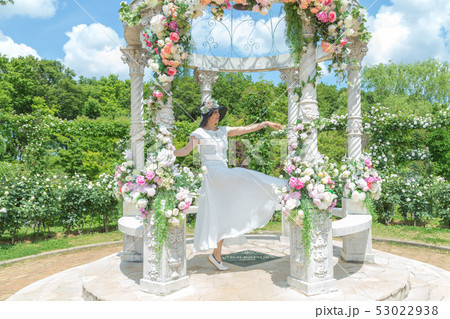 バラ園 喜びを表現している女性 薔薇の花 バラ 薔薇 花園 バラ園 喜びを表現している女性 薔薇の花 バラ 薔薇 花園 53022938