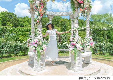バラ園 喜びを表現している女性 薔薇の花 バラ 薔薇 花園 バラ園 喜びを表現している女性 薔薇の花 バラ 薔薇 花園 53022939