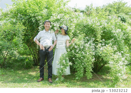 バラ園 で楽しむ夫婦 シニア夫婦旅 薔薇の花 バラ 薔薇 花園 バラ園 で楽しむ夫婦 シニア夫婦旅 薔薇の花 バラ 薔薇 花園 53023212
