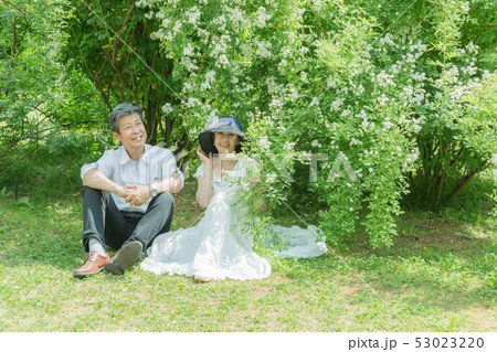 バラ園 で楽しむ夫婦 シニア夫婦旅 薔薇の花 バラ 薔薇 花園 バラ園 で楽しむ夫婦 シニア夫婦旅 薔薇の花 バラ 薔薇 花園 53023220