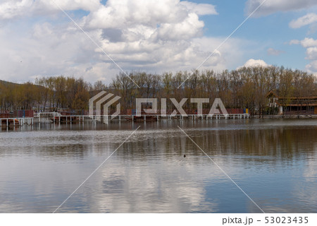 中国 チャイナ 磁器 53023435