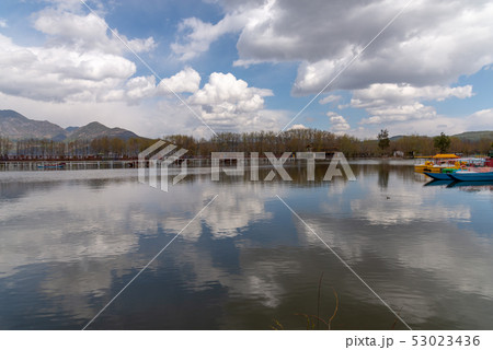 中国 チャイナ 磁器 53023436