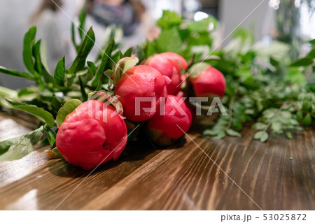 Coral peonies on wooden table. Beautiful peony flower for catalog or online store. Floral shop 53025872