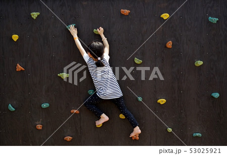 クライミングウォールで遊ぶ女の子 クライミングウォールで遊ぶ女の子 53025921