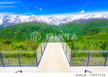 絶景テラス　ハクバマウンテンハーバー　【長野県】 53027316