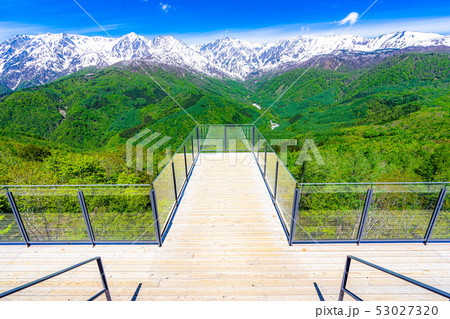 絶景テラス　ハクバマウンテンハーバー　【長野県】 53027320