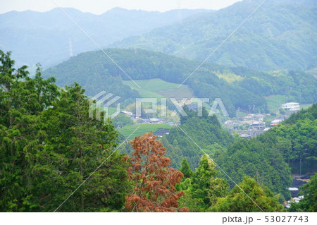 京都府・景観資産登録地域・和束町撰原の茶畑２ 53027743