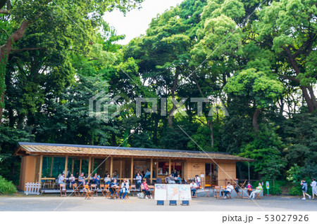 明治神宮 杜のテラス 南参道 明治神宮 杜のテラス 南参道 53027926