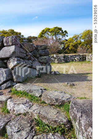 田丸城の天守台 53029056