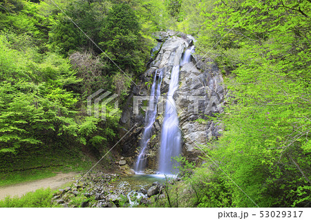 高森町の不動滝 高森町の不動滝 53029317