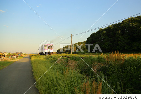 北条鉄道　夕景  【 長駅- 播磨下里駅 】　兵庫県加西市 53029856