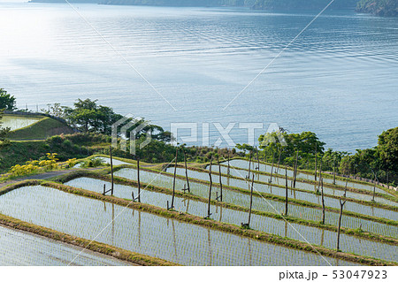田烏の棚田 田烏の棚田 53047923