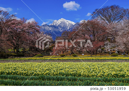 【山梨県】春の実相寺と甲斐駒ケ岳 53051959
