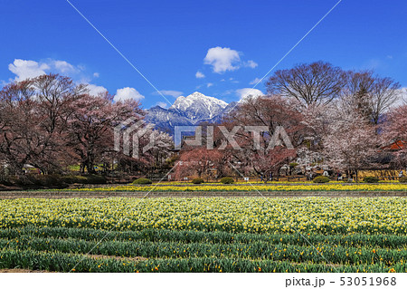 【山梨県】春の実相寺と甲斐駒ケ岳 53051968